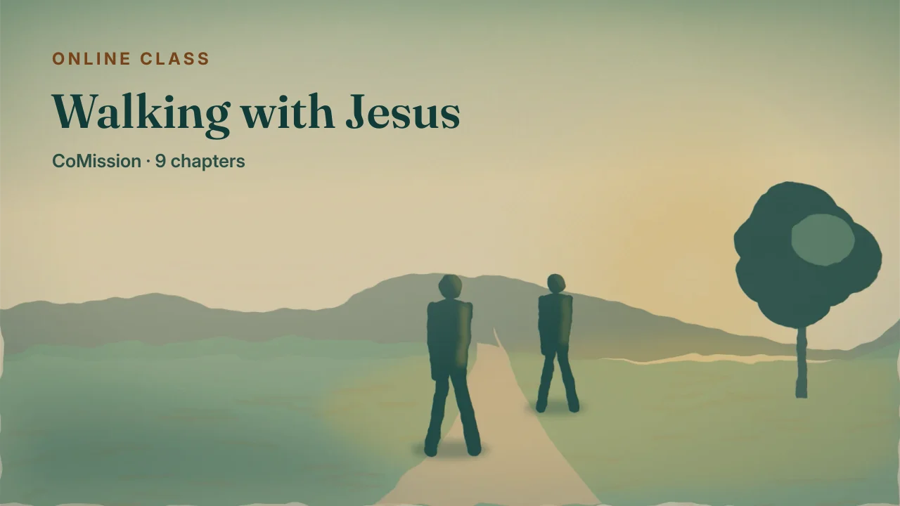 Walking with Jesus — the beliefs and practices of a disciple who makes disciples