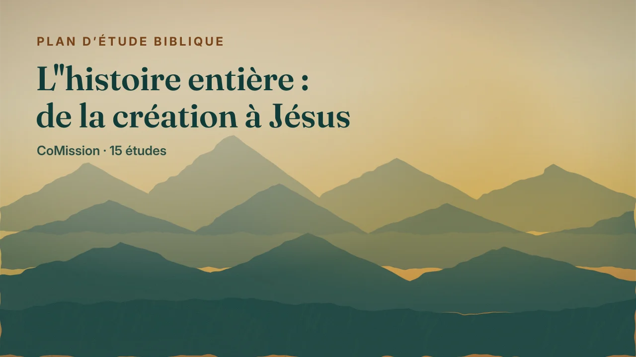Couverture de « L'histoire entière : de la création à Jésus »