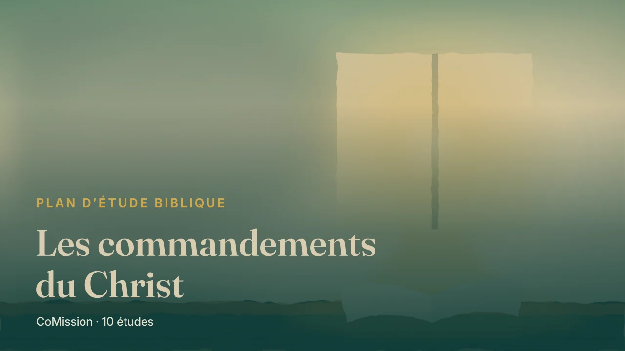 Couverture de « Les commandements du Christ »
