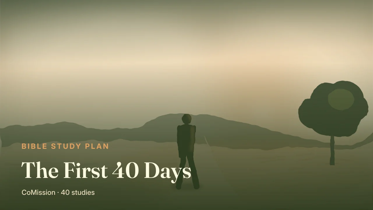 The First 40 Days cover — a young sprout rising toward the light