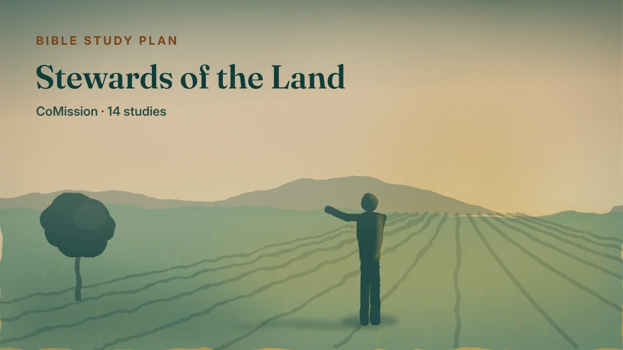 Stewards of the Land — a hillside milpa at first light, a farmer already at work between the rows