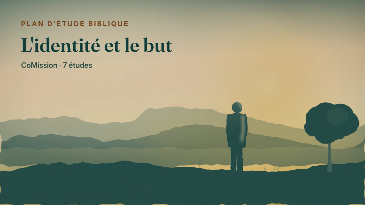 Couverture de « L'identité et le but »
