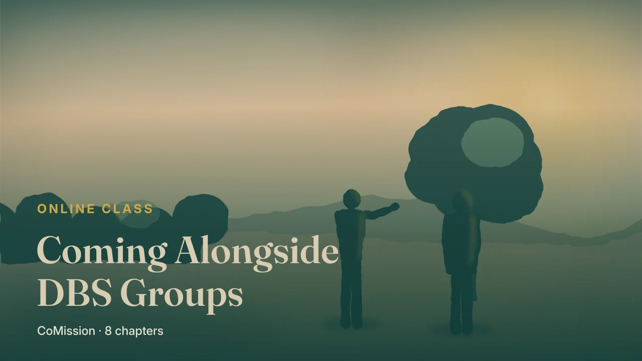 Cover: Coming Alongside DBS Groups — two people in conversation at first light, on level ground.