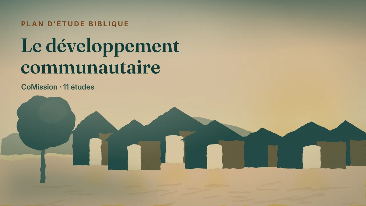 Couverture de « Le développement communautaire »